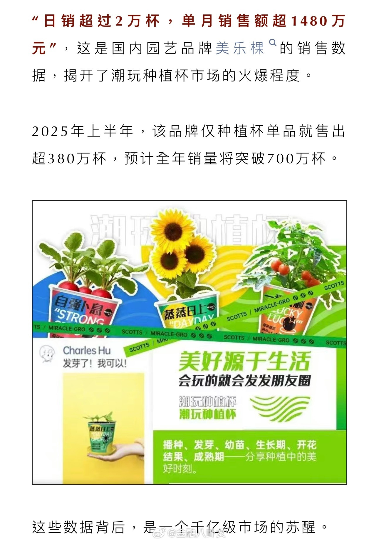 新的千亿级市场：竟然是一天卖2万个种植杯[思考]​​​