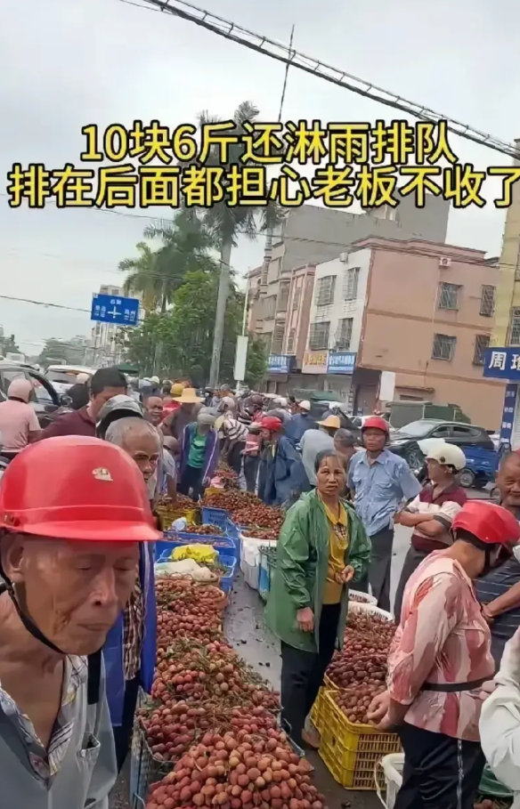 中间商赚的也太狠了吧！荔枝收购价才10元6斤，平均1.3元一斤，而且都是质量