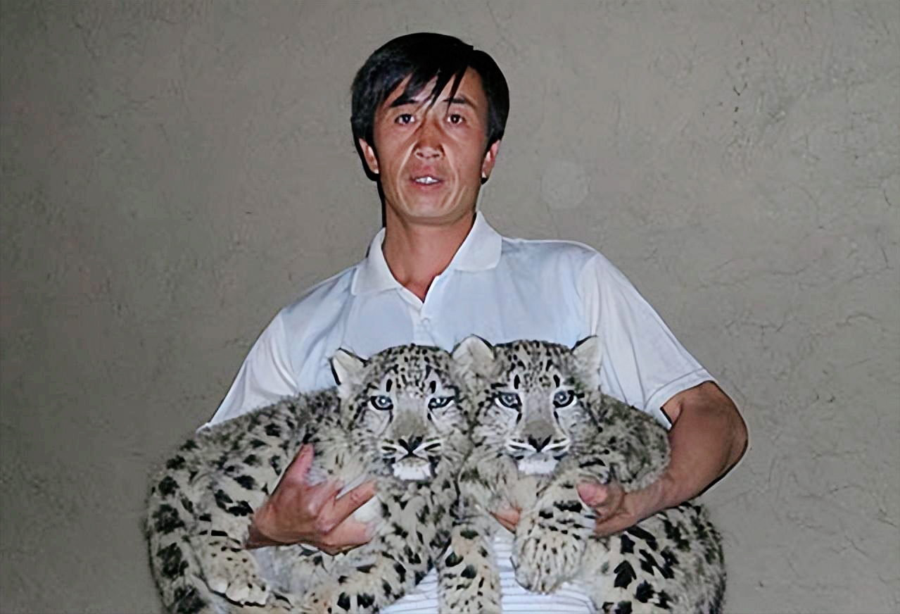 2008年，新疆一位叫张培伟的牧民在天山西边的一个峡谷草场放牧，竟然捡到了两只猫