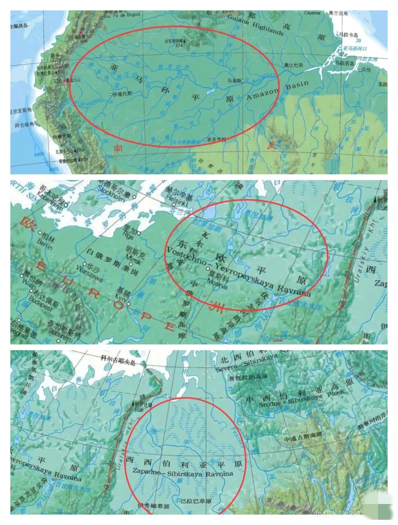 世界三大平原，排名：东欧平原＞亚马逊＞西伯利亚平原亚马逊平原亚马逊平原