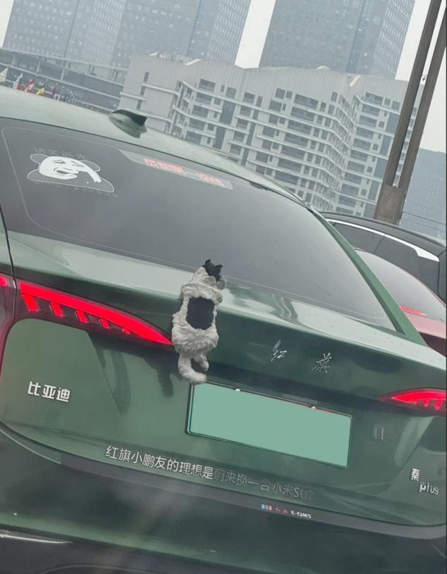 红旗和比亚迪的车主，谁看见谁懵，叫不对名字[捂脸哭]​​​