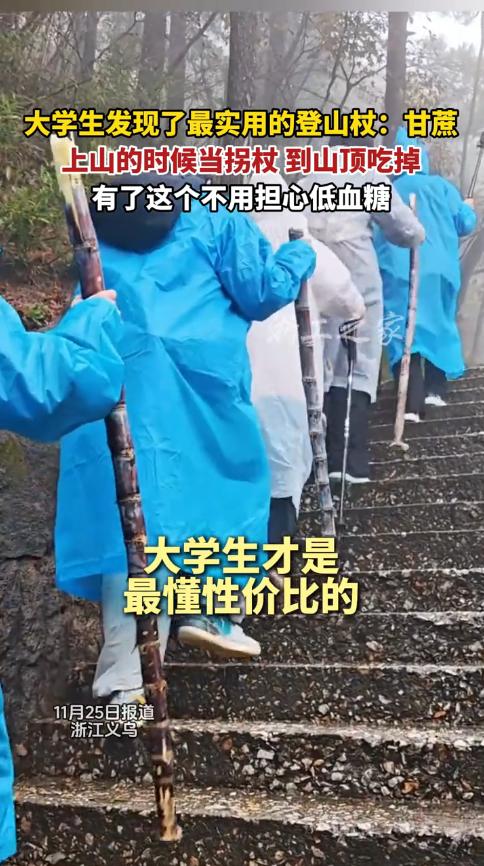 “人怎么能这么聪明！”近日，浙江义乌，一群大学生爬山时，没有买下山昂贵的登山杖
