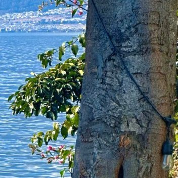 最好的生活状态，并不是每时每刻都要轰轰烈烈，而是在追求热烈的同时也能珍惜平淡日子