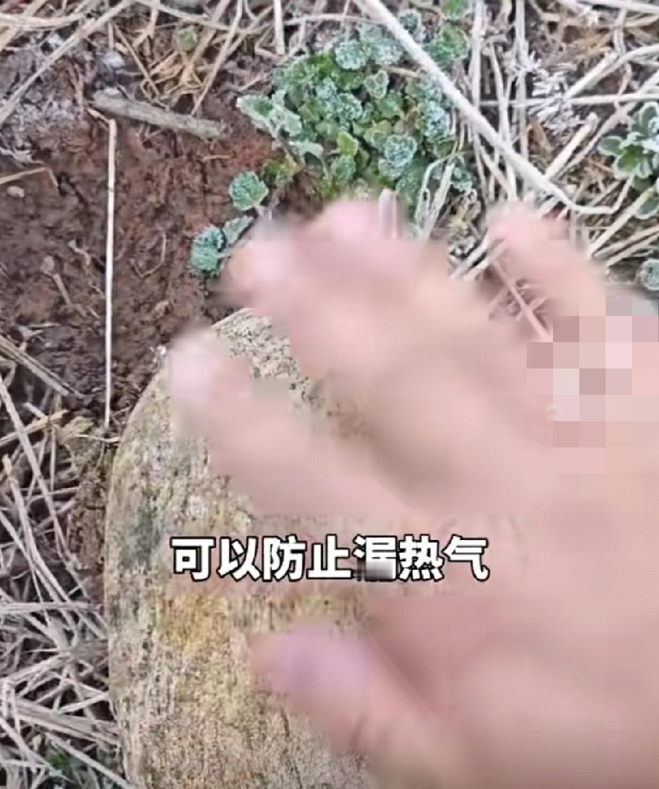 睹物思人！男子回到荒草丛生的老家，发现了一块不起眼的石头。男子：“那是我小时候奶