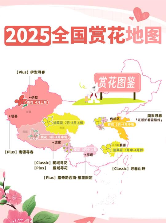 2025蕞新版全国赏花地图，景点路线全攻略