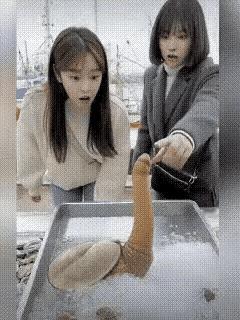 什么动物，还能喷水[捂脸哭]