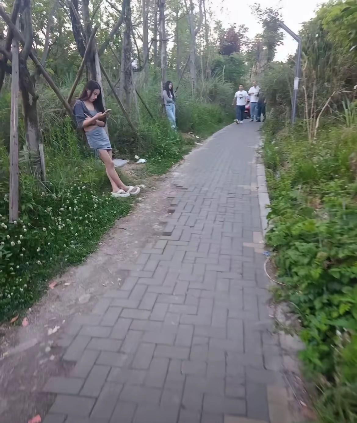 这个公园风景有点“特别”，一些人慕名而来，只为路边的风景，别无他求！有人问，这