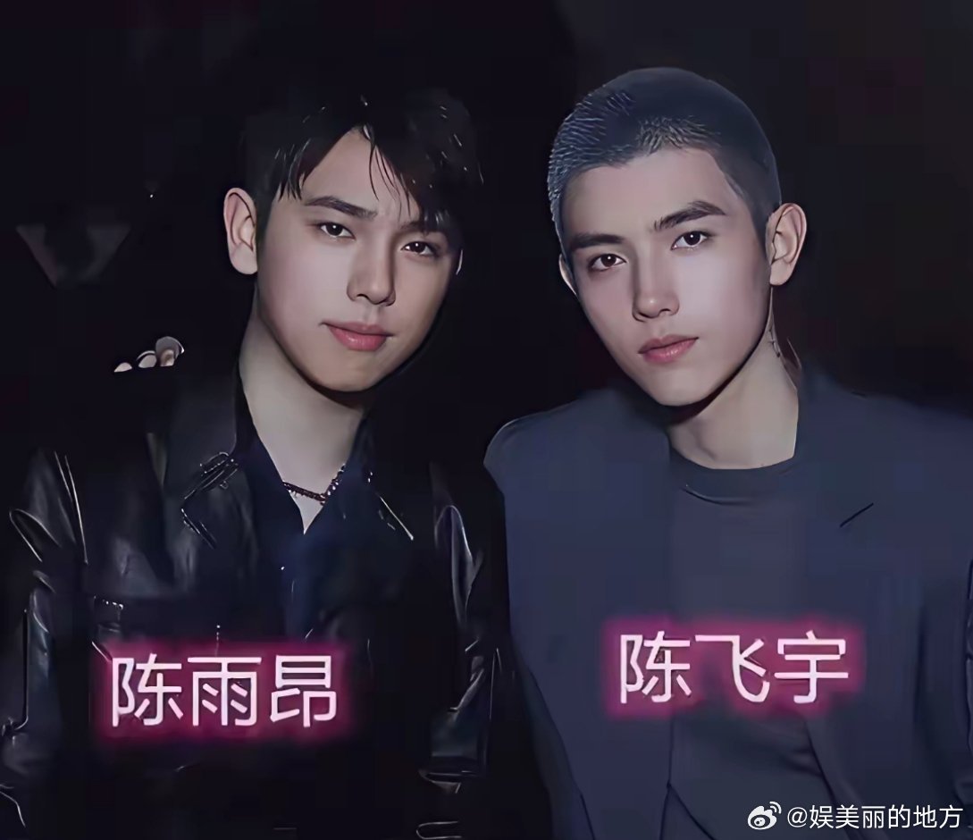 主持人问陈凯歌:“你的两个儿子长得更像爸爸、还是更像妈妈？”陈凯歌说:“大儿子更