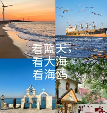 终于知道现在的女孩子为什么不结婚了，原来是因为这个…我侄女今年已经40岁了，还