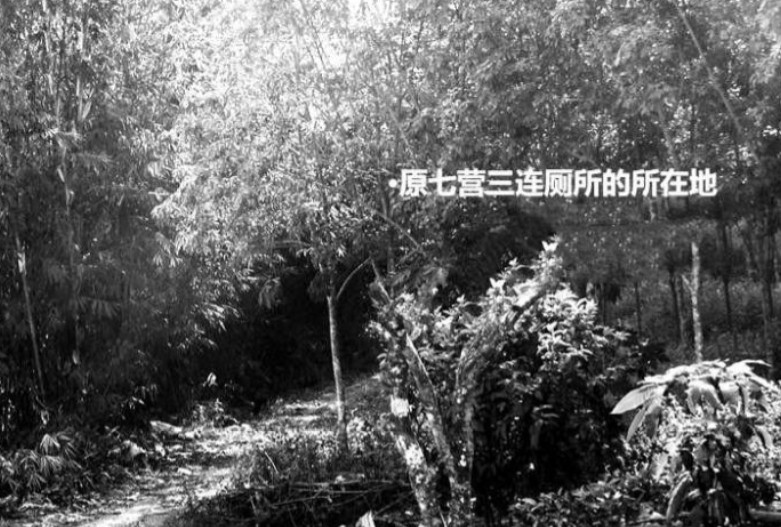 1974年，一名上海女知青云南插队时离奇失踪，此事甚至惊动了国务院，结果40多年