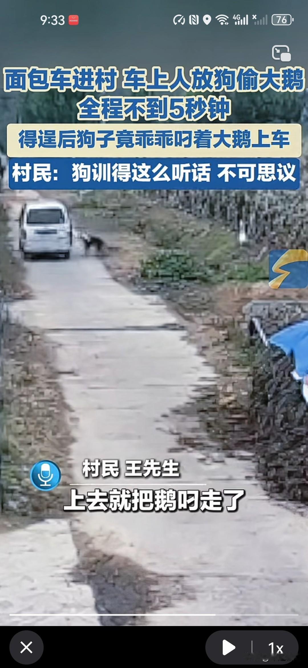 这狗可真是“狗性十足”！狗倒是条好狗，只是狗主人太差劲！近日在江苏连云港，一