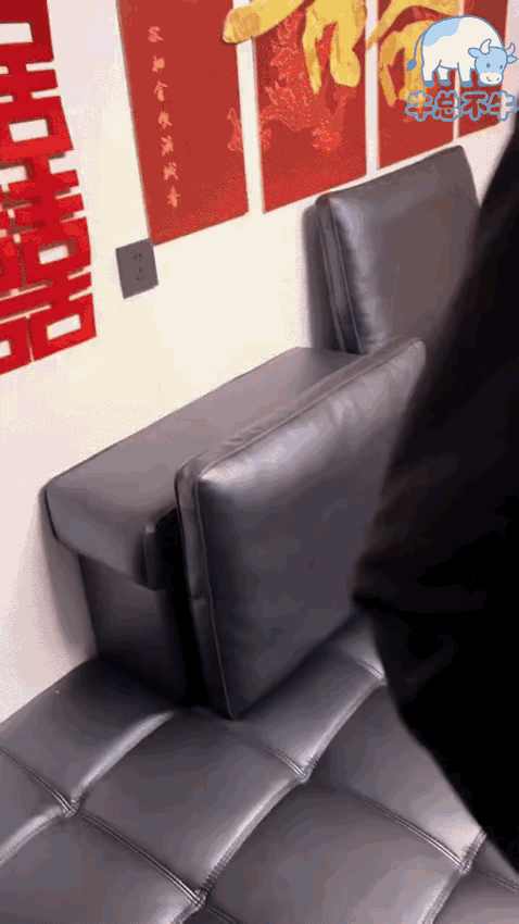 我觉得这次婚礼的赞助商是喜之郎，但是蟑螂是什么意思？我没看懂。