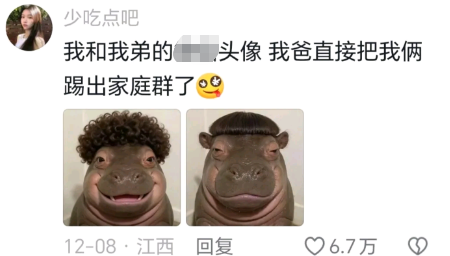 真的没人懂吗