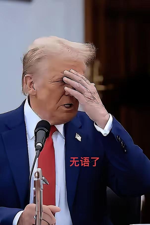 1月28日，新华社消息，美国明尼苏达州联邦法院26日晚发布法令，要求美国移民与海