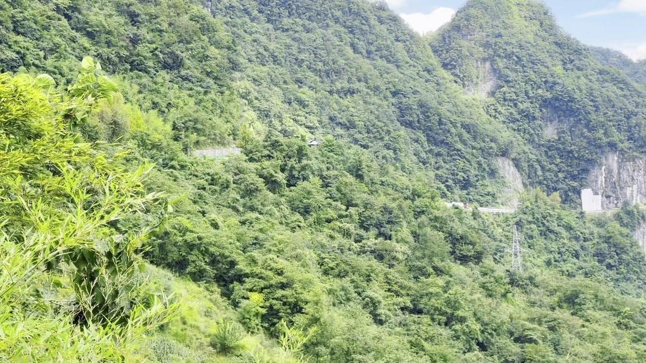 🌿集奇峰、险崖、风情于一体的柴埠溪大峡谷，森林覆盖率高达81%，夏季均温只有2