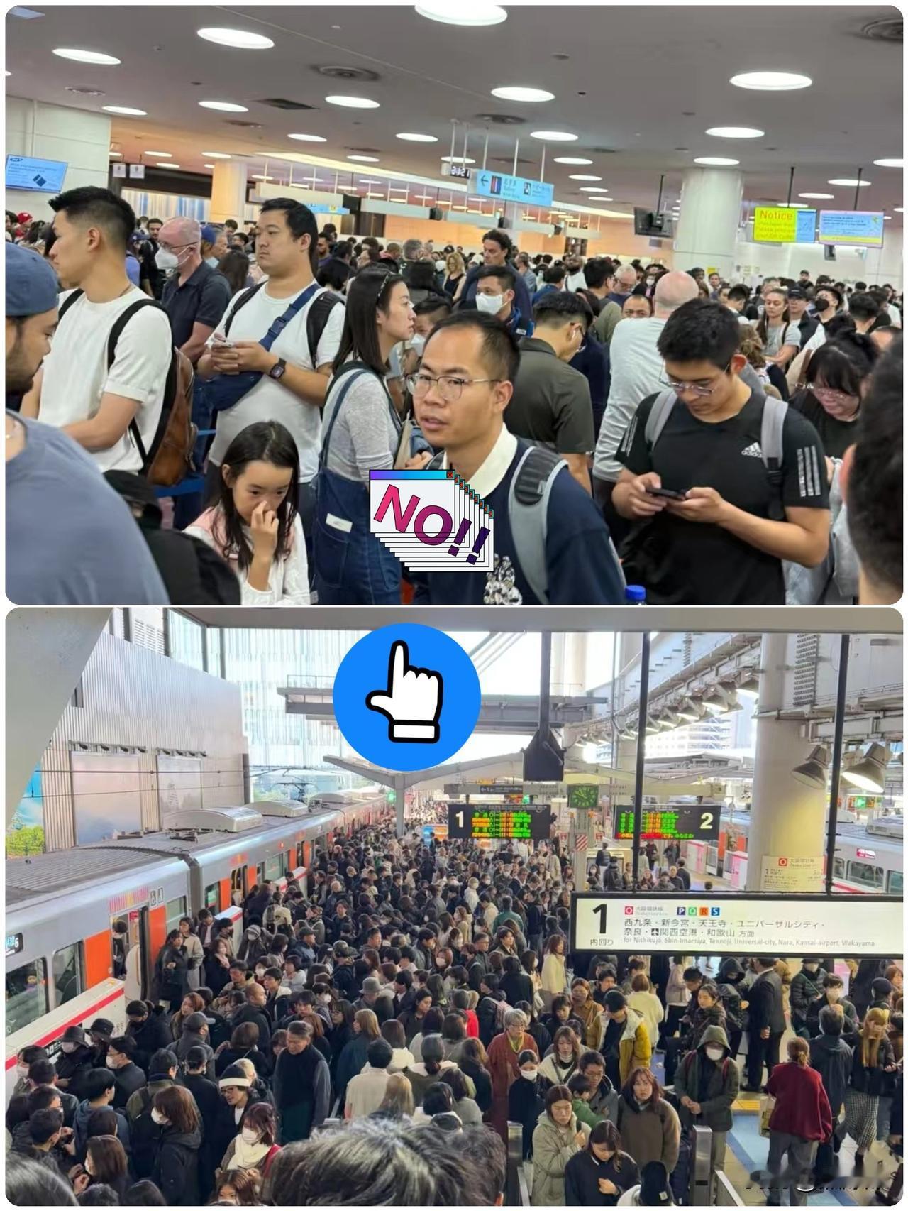 这就是不听劝的代价！这几天日本的机场非常非常的挤，想要回国的人是非常非常的多