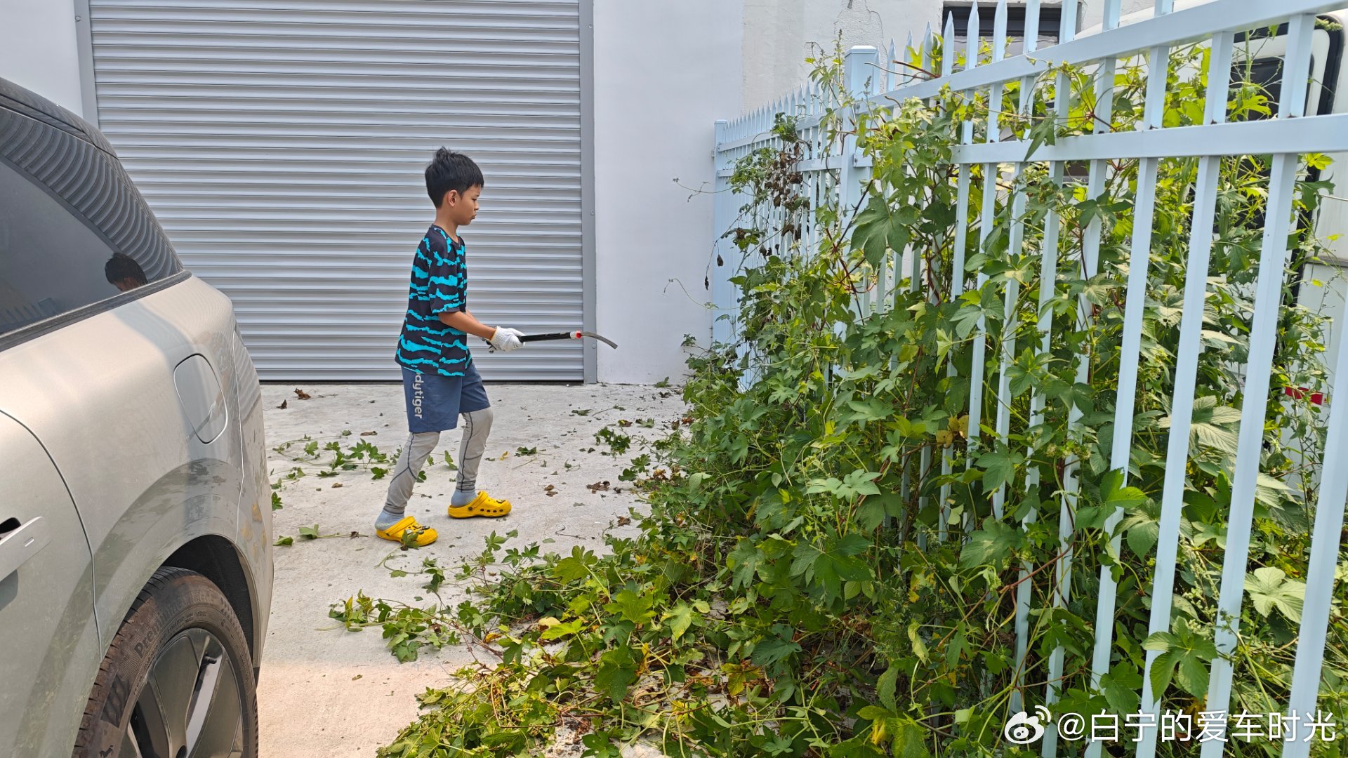 今天带我的10后微登儿子上了一天班，从学摄影到玩车模到除草整整折腾了一天，拍了个