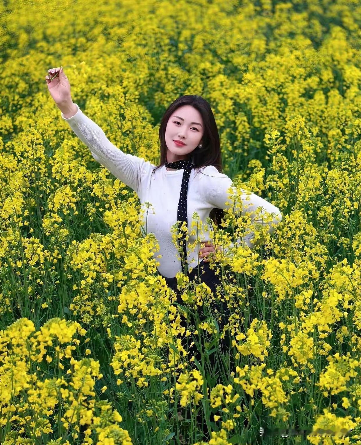 春天到油菜花田打卡，绝对是一场青春的盛宴！置身油菜花田，满眼金黄灿烂，仿佛进入