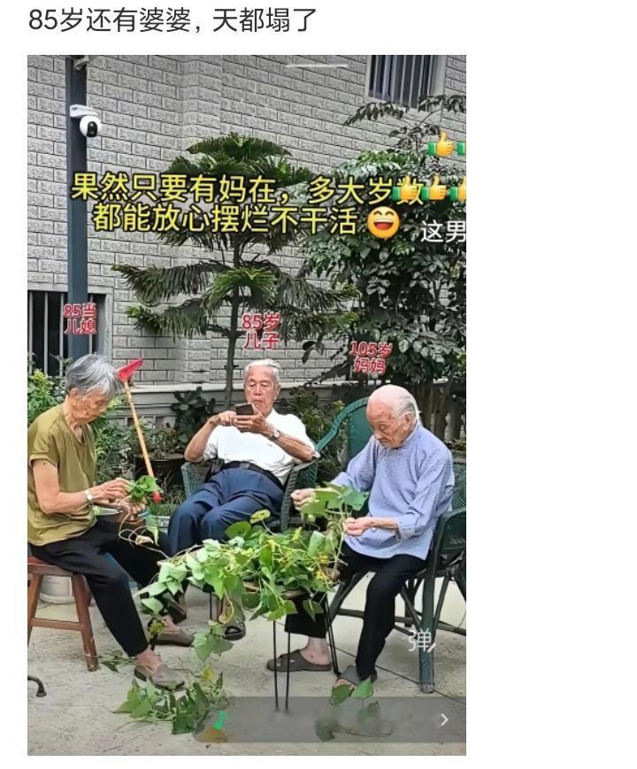 85岁还有婆婆，天塌了