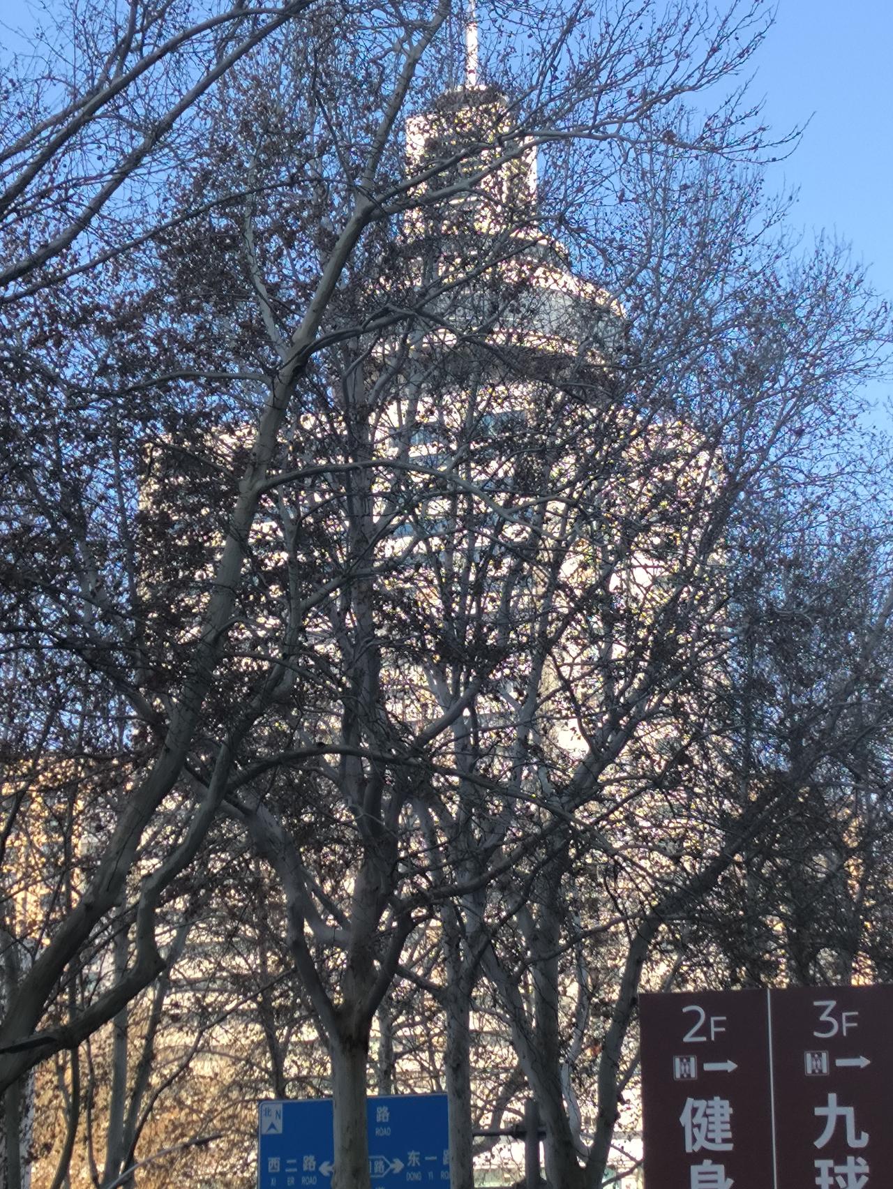 山东淄博饭店究竟何时住宿能够重新开业？自从24年10月之后停业装修已经一年半多