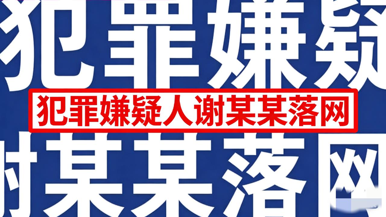 “梅姨”终于抓到了！真名曝光，被拐儿童父亲痛哭：我们找了她整整20年！“梅姨