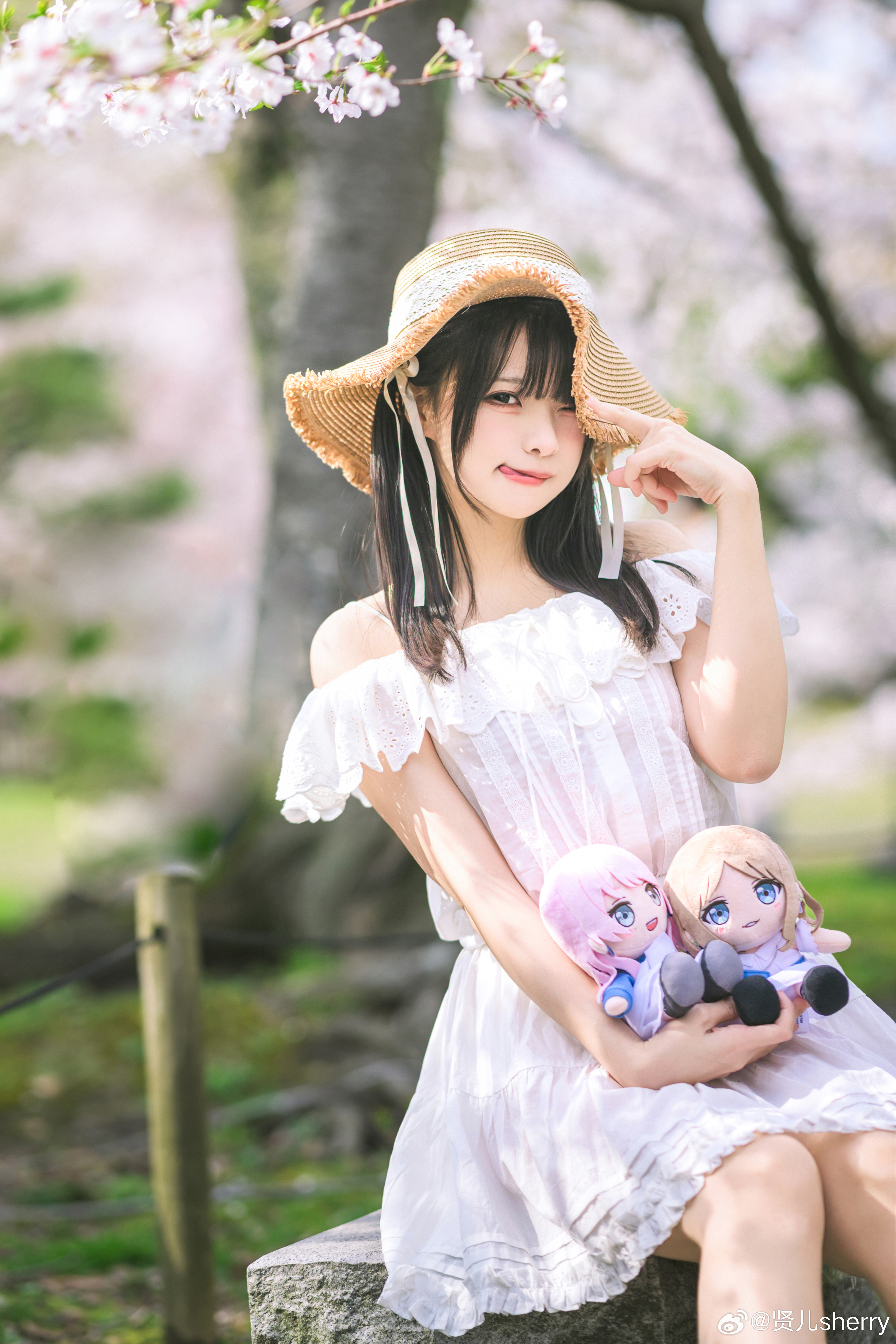 “您的春日与樱花已送达，请签收~”————是今年份的樱花写真！你们二次元真是走哪