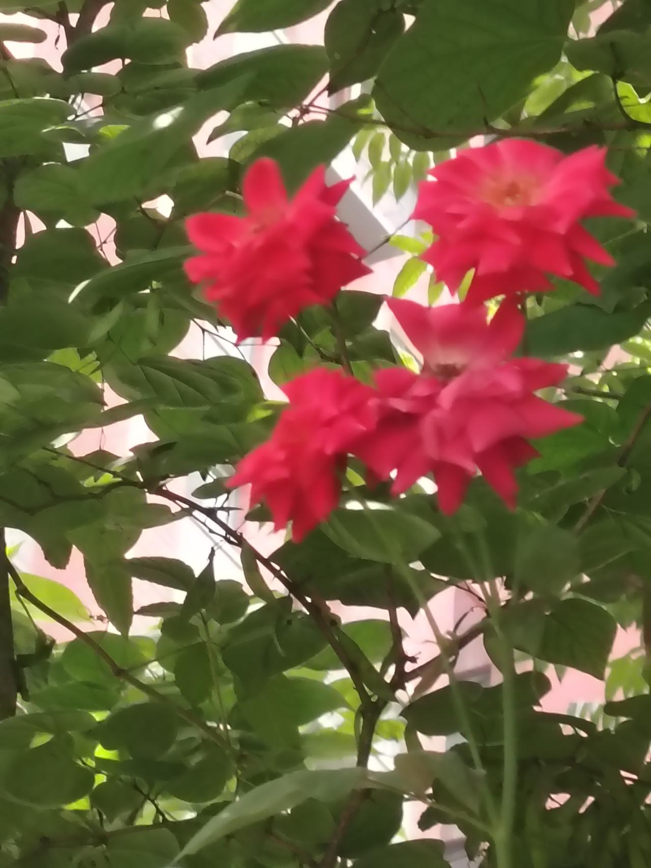 读懂真正的“天人合一”！终于明白，老祖宗说的天，根本不是天空很多人一辈子误