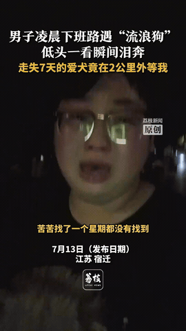看哭了！江苏宿迁。晏同学家的狗狗意外走丢了，丢失了整整七天，晏同学母亲江苏宿迁的