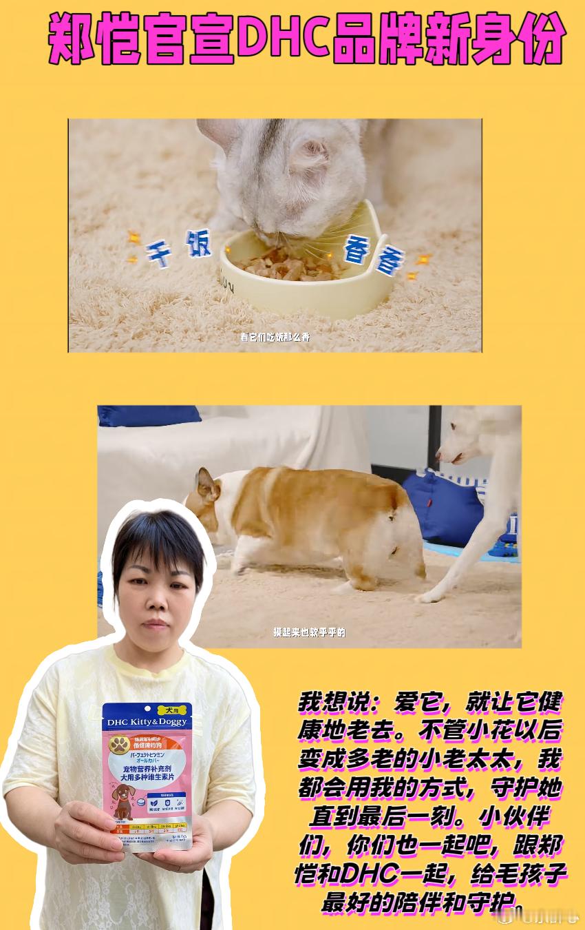 郑恺官宣DHC品牌新身份💖姐妹们，我家小花是我养的第一只狗，也是我生命里最