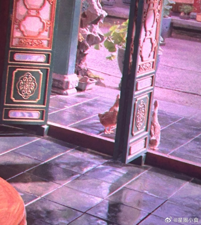 87版红楼梦，人家放的是仙鹤，24版电影放的是鸭子