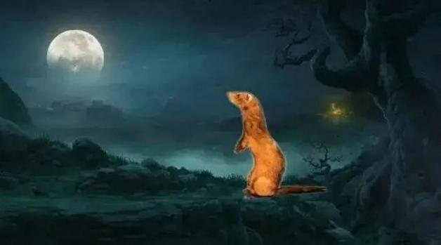 若野外碰见黄鼠狼讨封：你看我像人还是像神？不能说“像神”！只回3个字可化解。