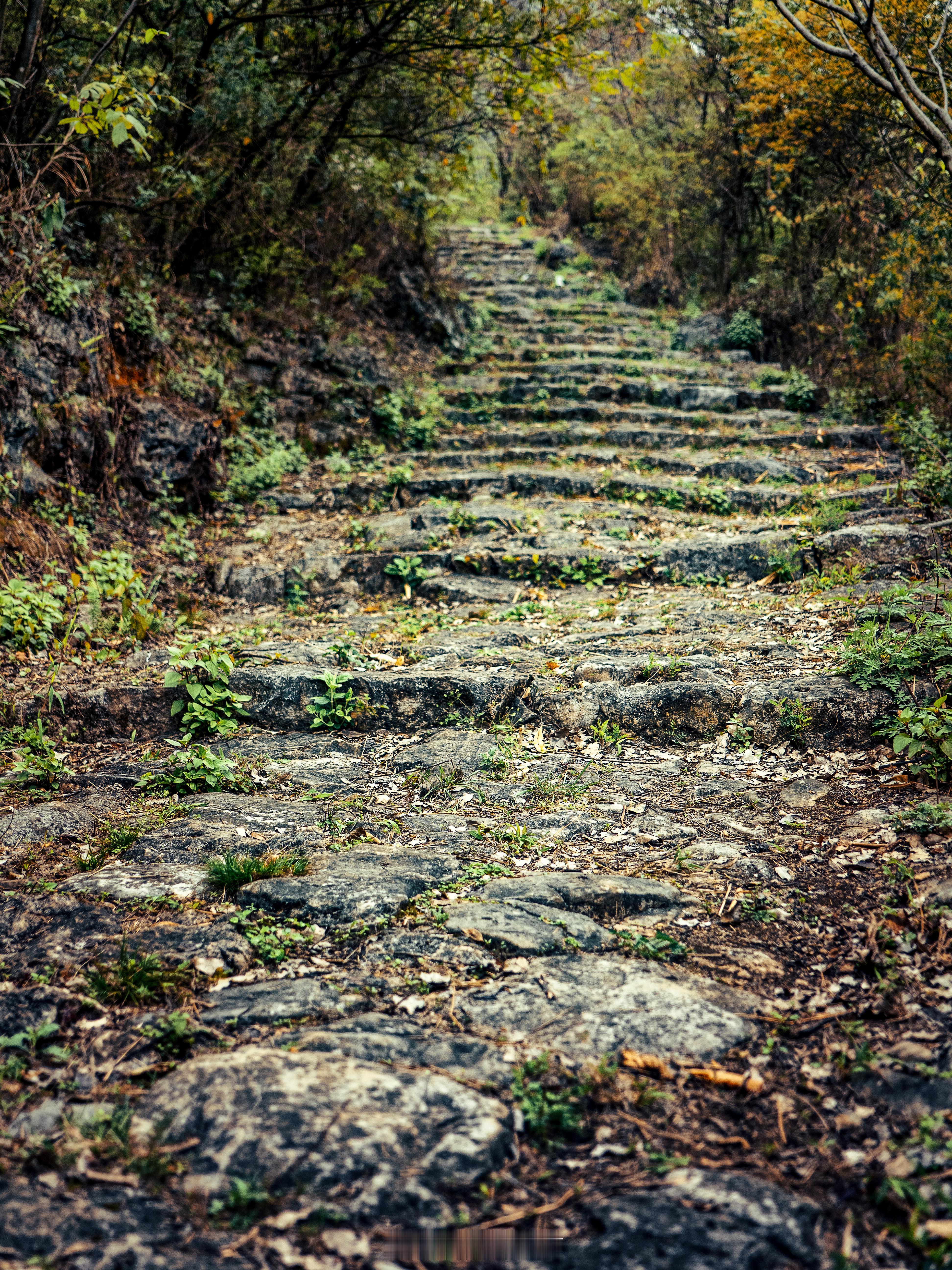一关一岭，锁住六百年风云。关索岭古道，徐霞客走过的滇黔锁钥，是滇黔驿道上最艰险的