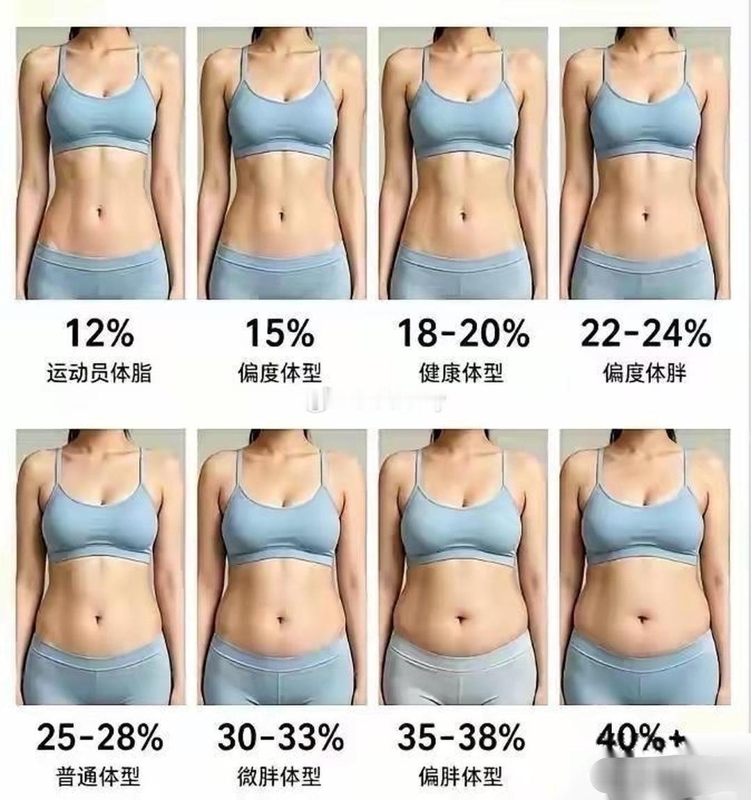 不同体脂率身材对比图​​​