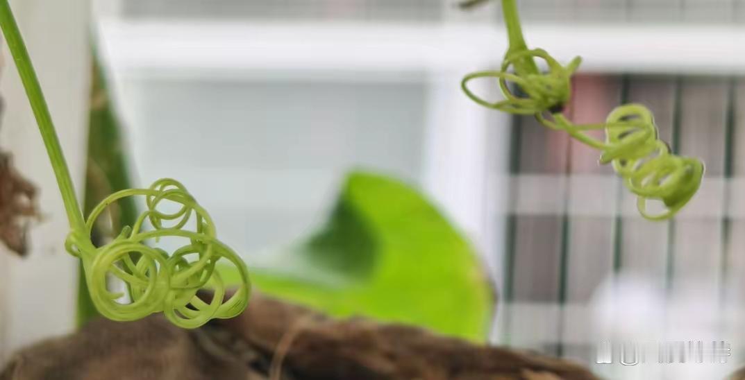 前天，我去物业缴费。收费的小姑娘看了我的楼栋，笑了笑没说啥。交完费，我正准备走