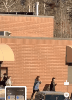 加拿大塔布勒岭中学枪杀案为18岁跨性别女性杰西所为。出生时为男性，约6年前开始性