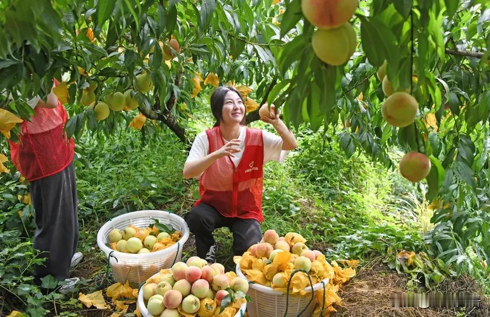 明年开始，中央要实施城乡居民增收计划。政策从去年针对中低收入群体的“增收减负”，