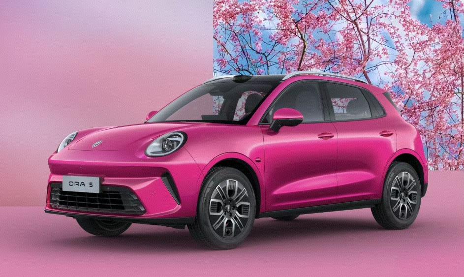 全新长城欧拉5来了，一共五个版本，续航有480公里和580公里两款。起售价9.1