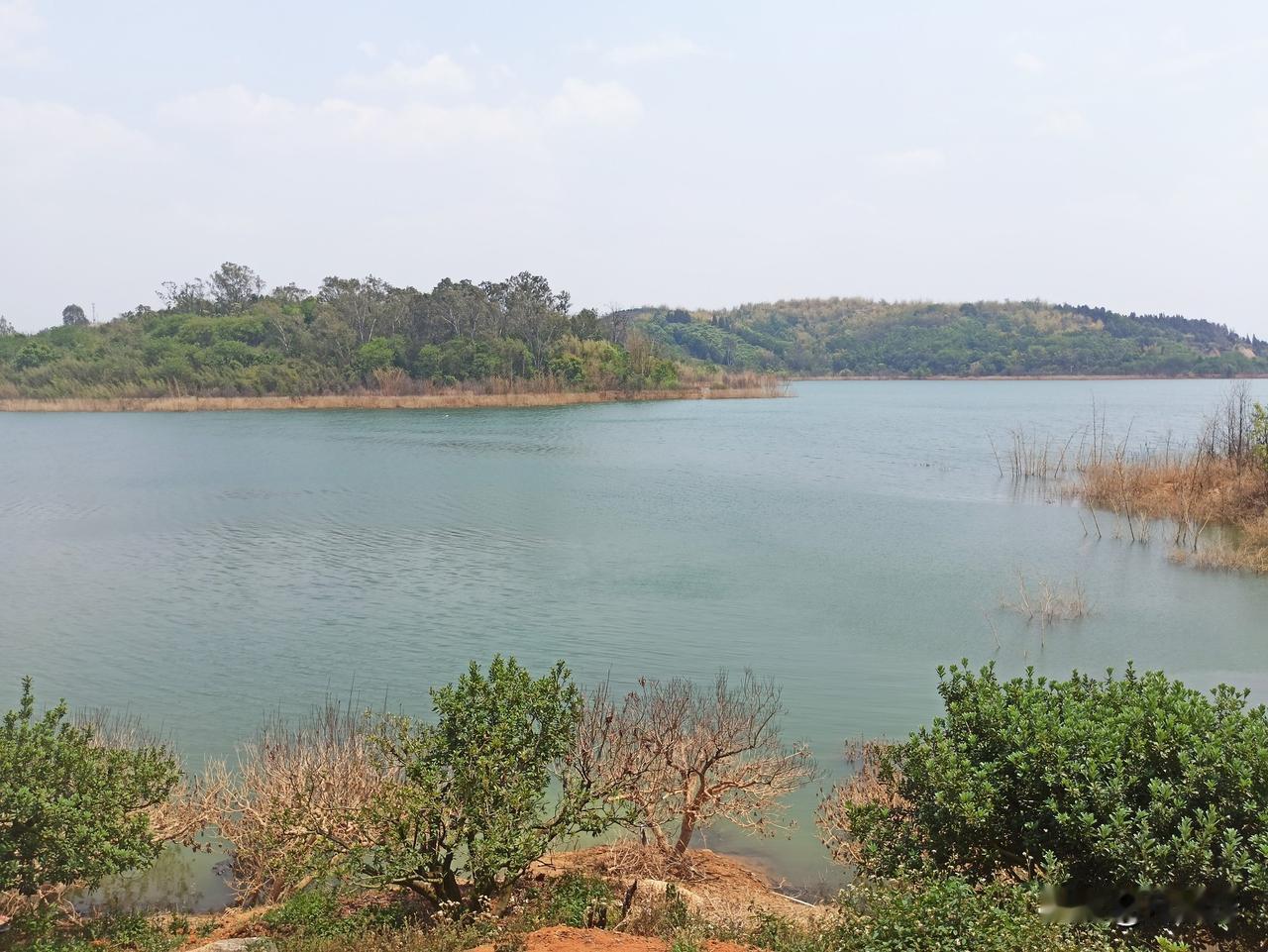 洗洒水库位于云南弥勒市区北郊，始建于1971年，是一座集‌农业灌溉、城镇生活及工