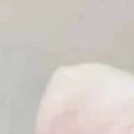 0000种植柠檬的过程主要是以下步骤：播种育苗：首先，将种子完整地取出，使用凉