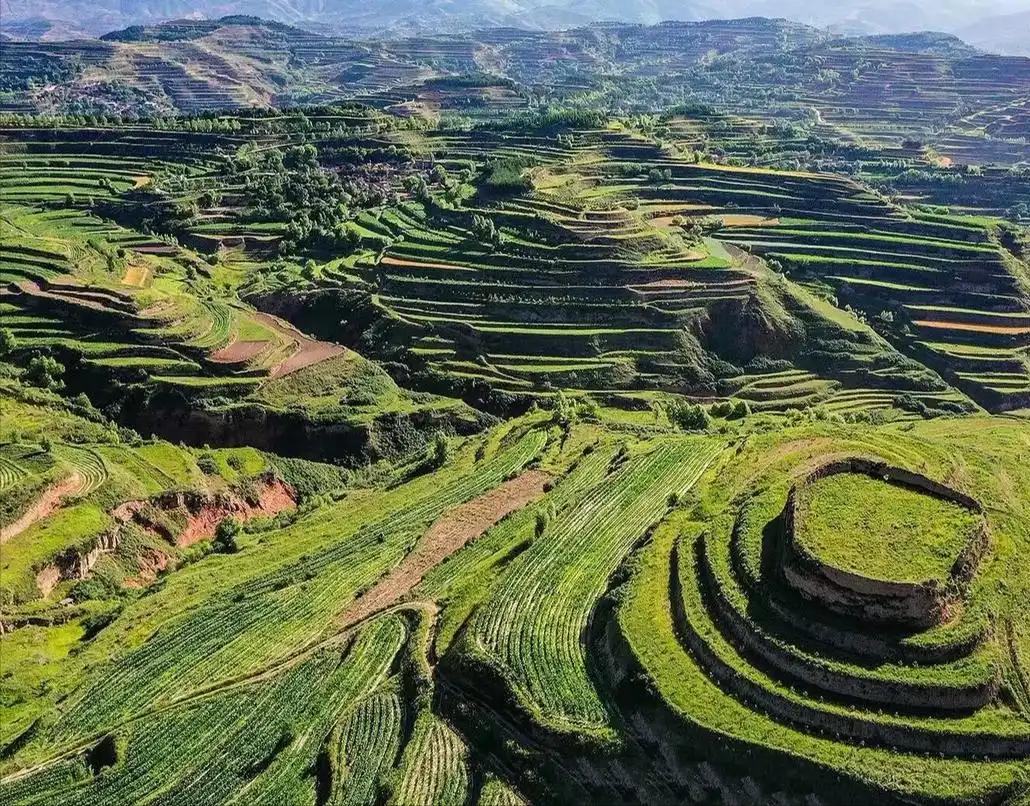 时代变了：黄土高原不“黄”了，现在满山绿油油一片，黄河水要成“清河水”了！站