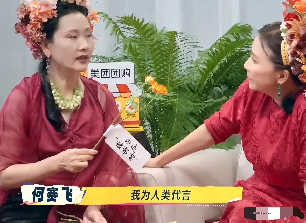 何赛飞一直强调人要传宗接代，刘嘉玲十分不解的问：“你是有这方面的宣传代言吗？”何