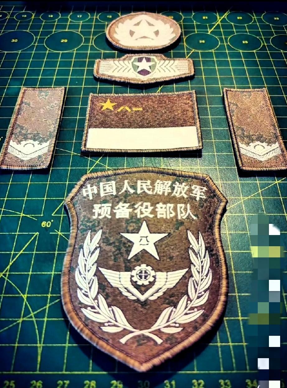 弯弯某些人，你们晓得不？内地这两天给全国退伍军人制发预备役人员证啦！这可不得了，