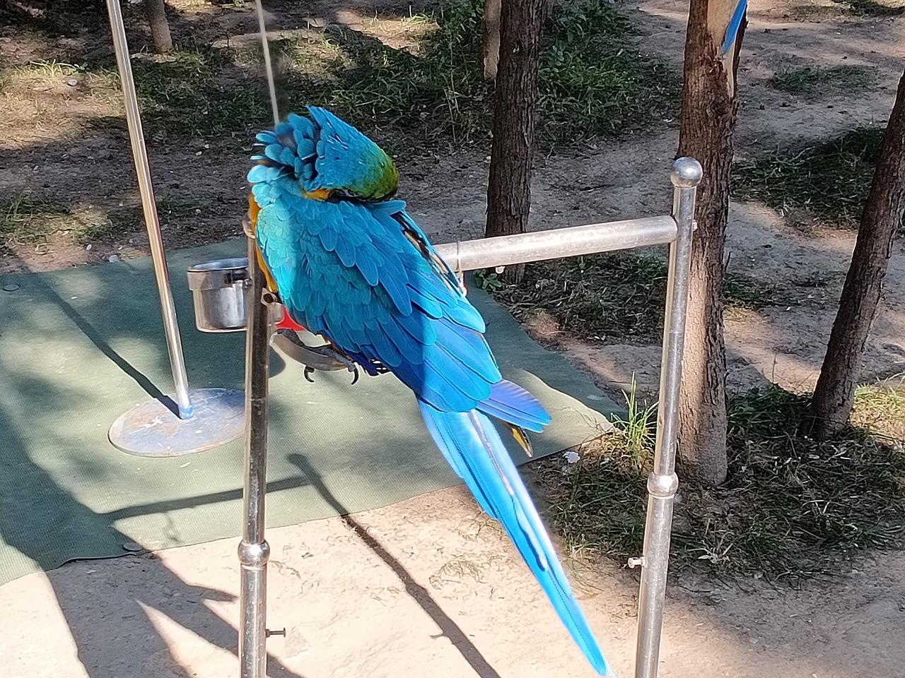 如果证券市场有排名，A股肯定排第一，理由如下：第一、年均上市数量最多，融资金额