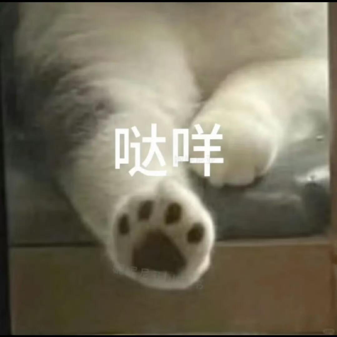 搞笑表情包表情包​​​