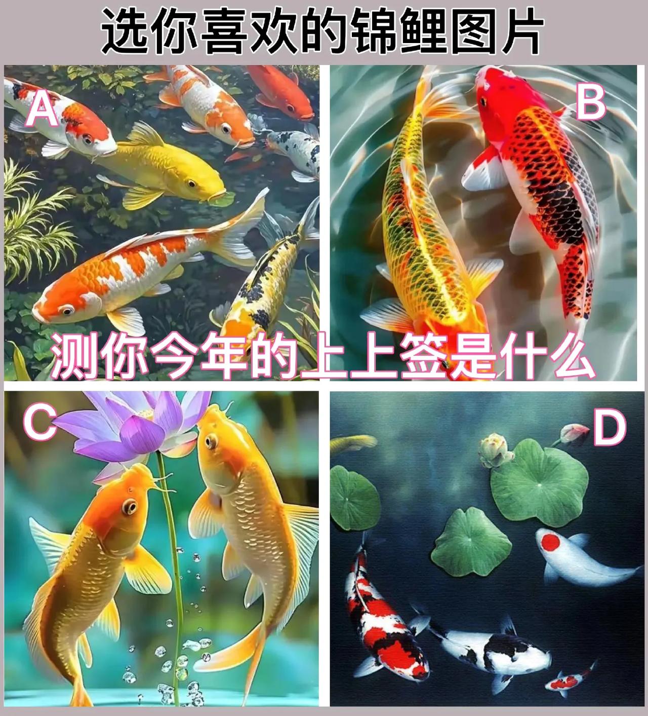 测测看你今年的上上签是什么？是你的命中带财气，还是财运亨通让人嫉妒，或者生活过