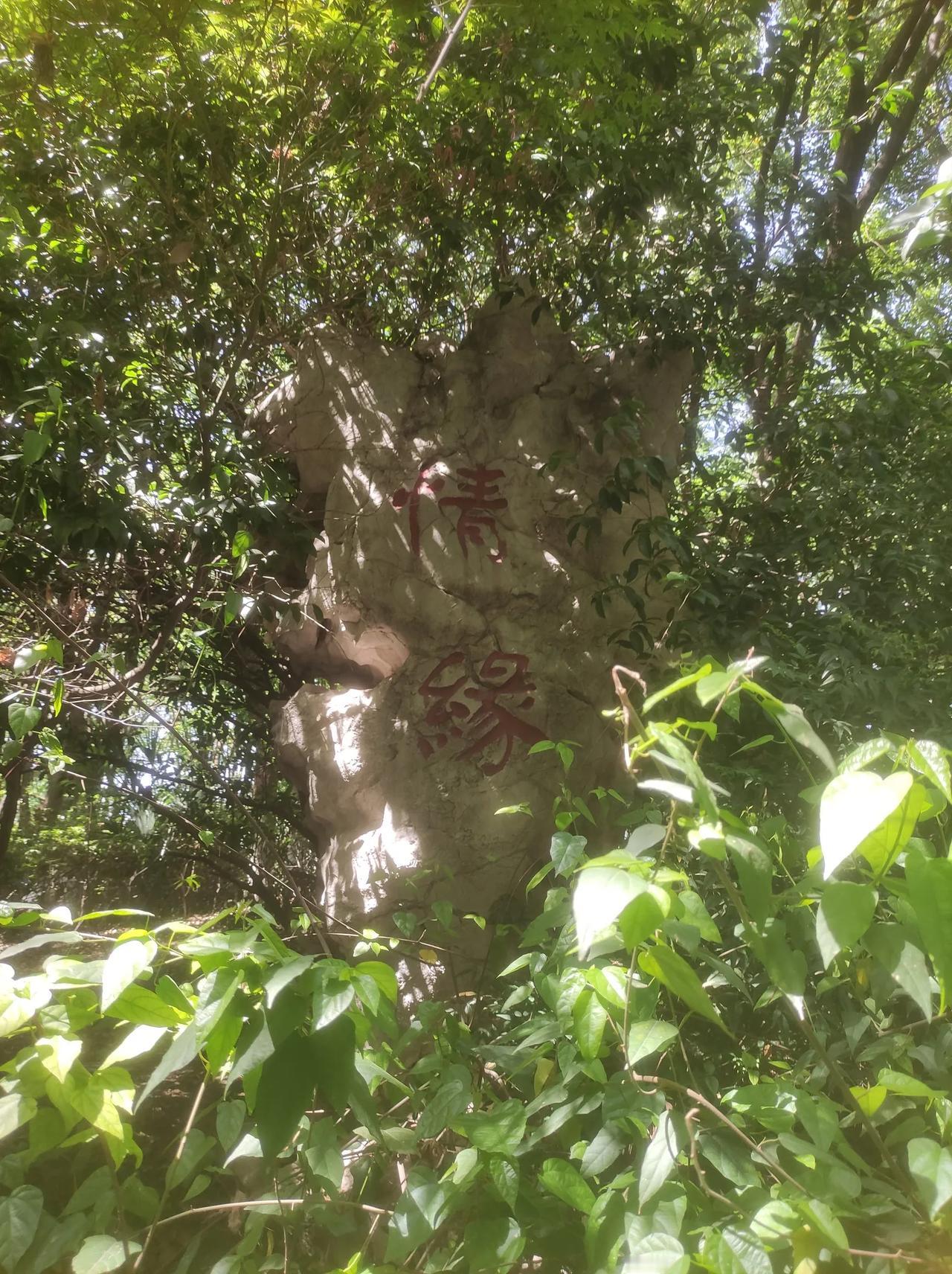 丙火太阳，丁火廉贞丙火为大火，可以看成是大灯，发热器，大型玻璃等，可以理解成名