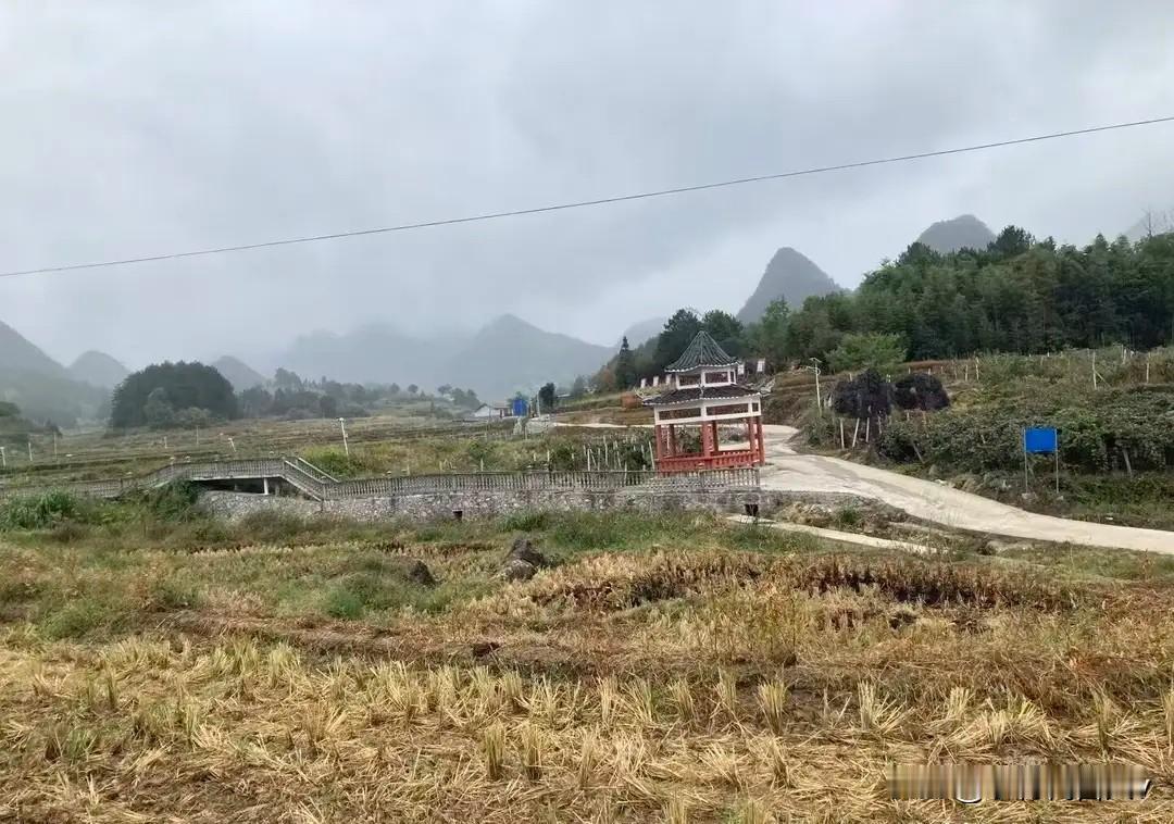 无数农村人半生打工：熬到中年才发现，拼尽全力，依旧一无所有背过蛇皮袋，睡过