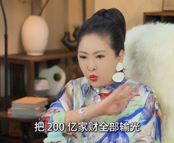 向太揭露赌场骗局！自己亲眼见证，合肥前首富赌光200亿，其实是被小人设局算计。