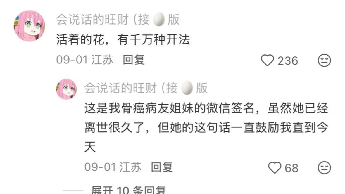一些穿越人生暴风雨的句子