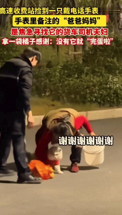 浙江一高速收费员晚上巡逻时，发现旁边草丛有动静，一开始以为是流浪猫，结果走近一看